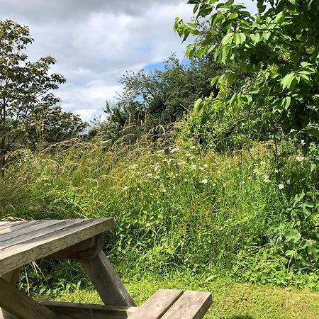 The Steppes Holiday Cottages 赫里福德 外观 照片
