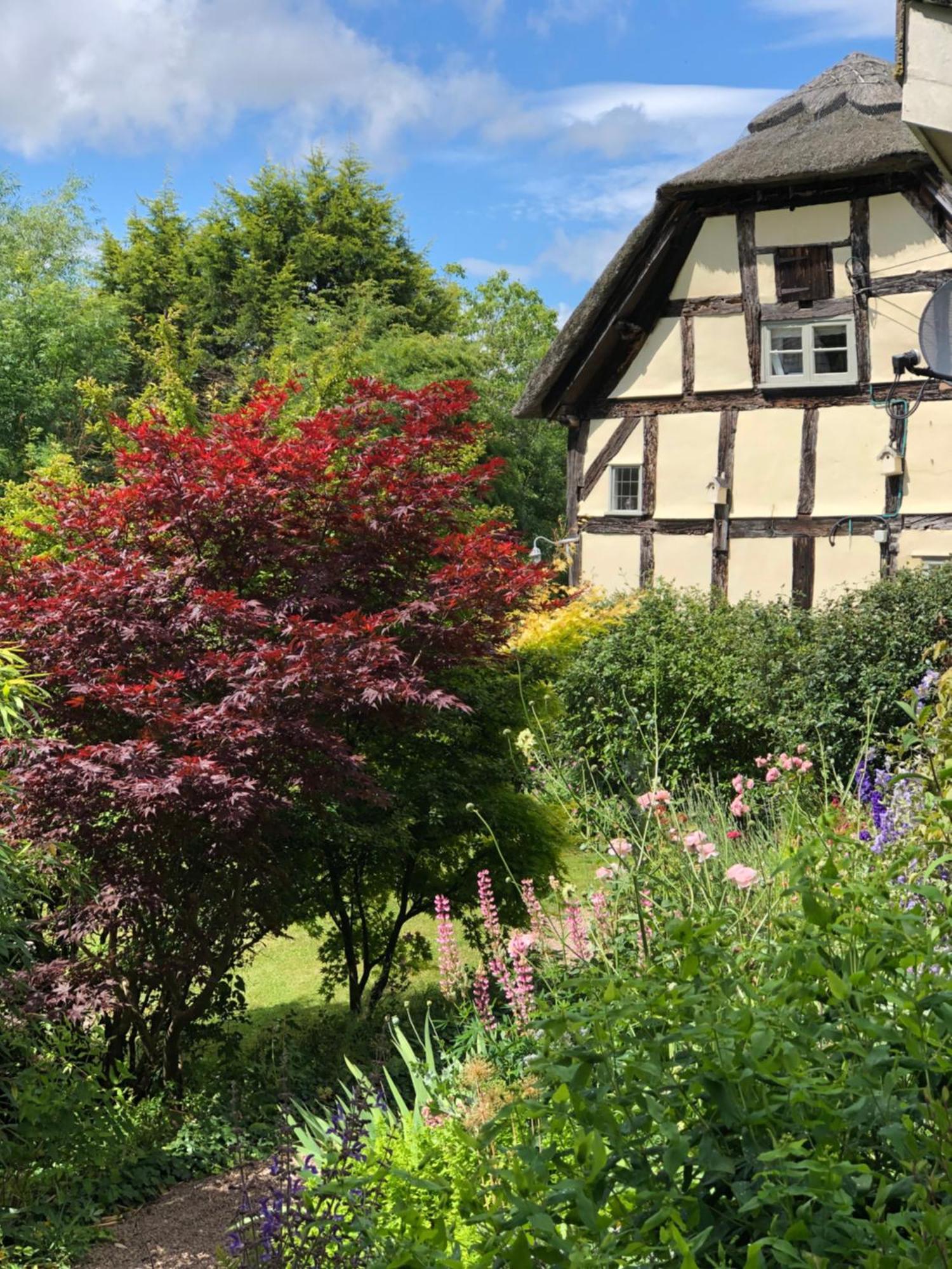The Steppes Holiday Cottages 赫里福德 外观 照片