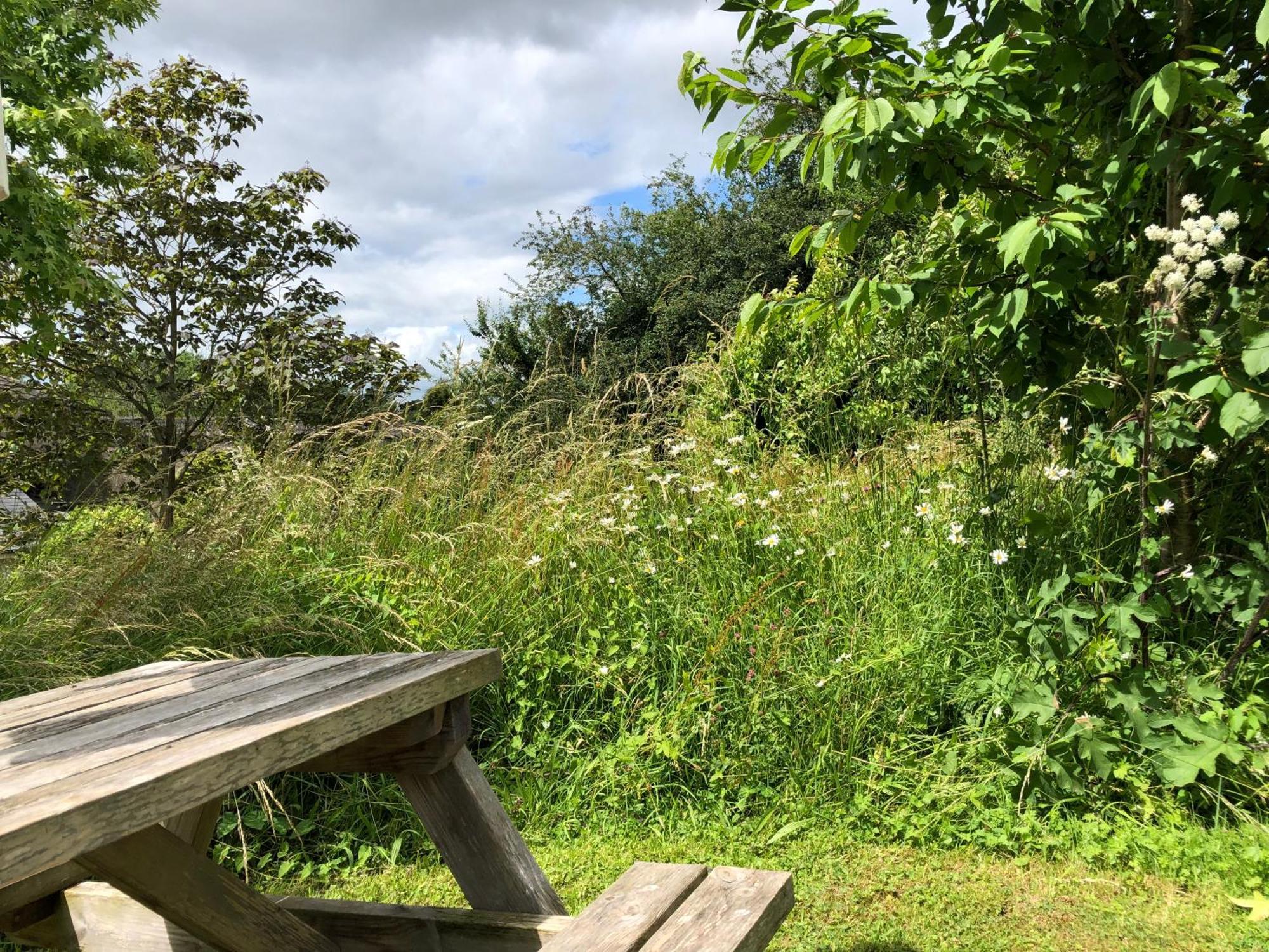 The Steppes Holiday Cottages 赫里福德 外观 照片