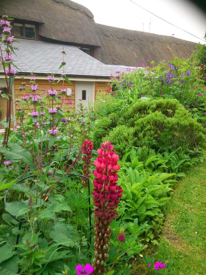 The Steppes Holiday Cottages 赫里福德 外观 照片